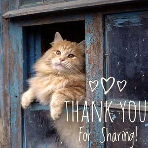 Thank you for sharing 😊